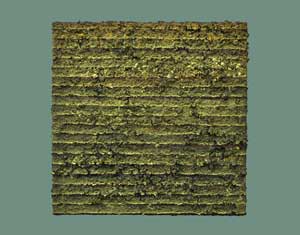Gallery 07